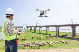 Penggunaan Drone dalam Pemantauan Peternakan Di Amerika